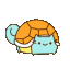 squirtle-cat