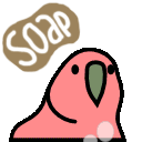 covid19_parrot