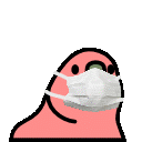 doc_parrot