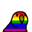 rainbow_parrot