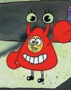 sbkrabs_q