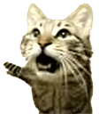 meowsynth