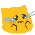 meow_abouttocry