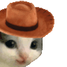 meowdyq