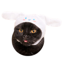 sanrio-catq