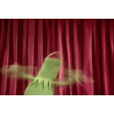 kermit-panic
