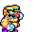wario