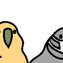 tenetparrot