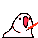 sith_parrot