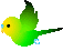 parrot_fly