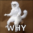 why-tho