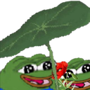 pepeloveleafq