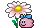 daisy_knuddels