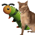 bug-cat-slap