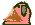 sambosa-parrot