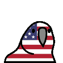 parrot_yankee