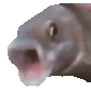 ooooooo