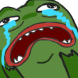 pepe_painnq