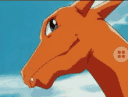 charizard_whatq
