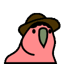 chico_parrot
