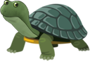 pepeturtleq