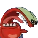 sbkrabsq
