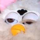 drunk-furby