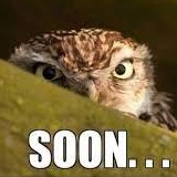 soon