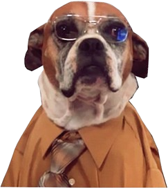 dwight-dog