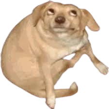 oh-you-dog