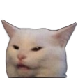 angry-cat