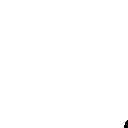 moon_walking_parrot