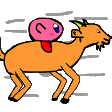 kirby_goat