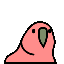 jumping_parrot
