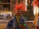 pepe_kingprawn3