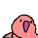 bootleg_parrot