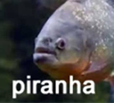 piranhaq