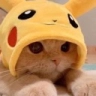 catpikachuq