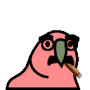 groucho_parrot
