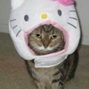 hello_kitty_catq