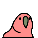 parrot_hd