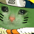 naruto_catq