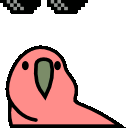 deal_with_it_now_parrot