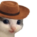 meowdy